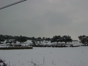 nieve 06012900139.JPG