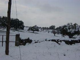 nieve 06012900140.JPG