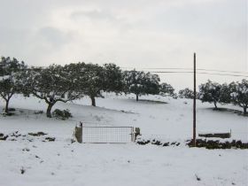 nieve 06012900143.JPG